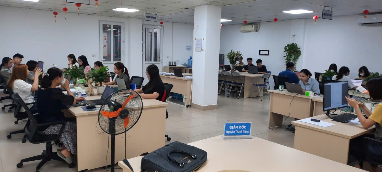 lĩnh vực hoạt động